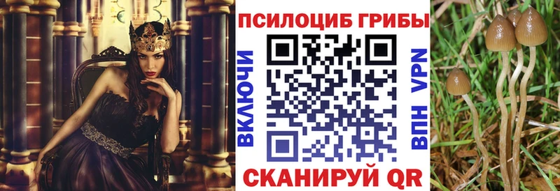 Купить  Поворино  Псилоцибиновые грибы мицелий 